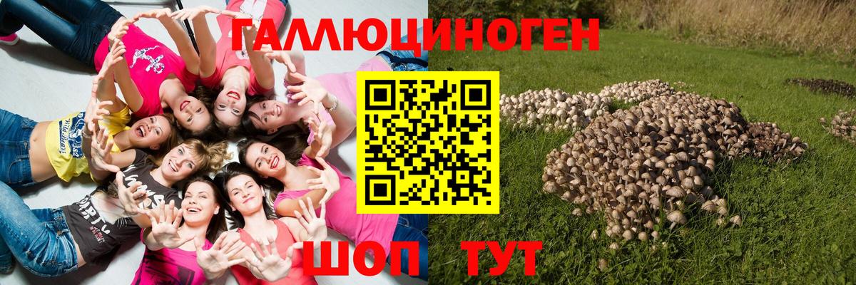 Псилоцибиновые грибы Psilocybe  Вход с VPN  Галлюциногенные грибы мицелий  Чебоксары 